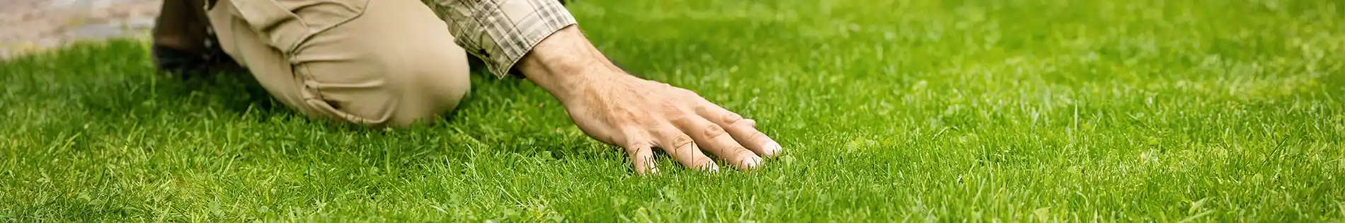 Eine Person überprüft mit der Hand eine grüne Rasenfläche