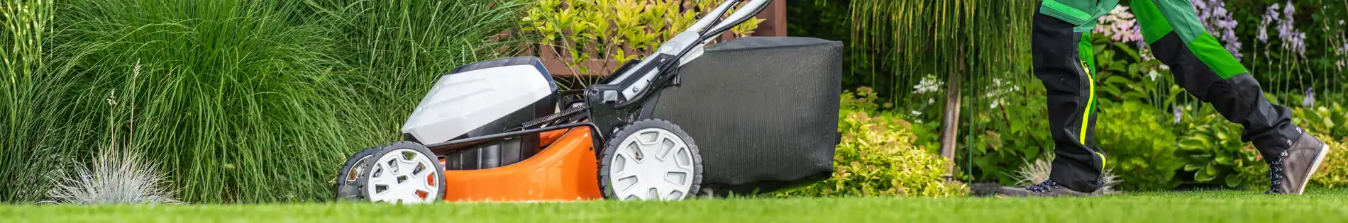 Ein Rasenmäher wird über ein Stück Rasen geschoben